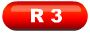 R3